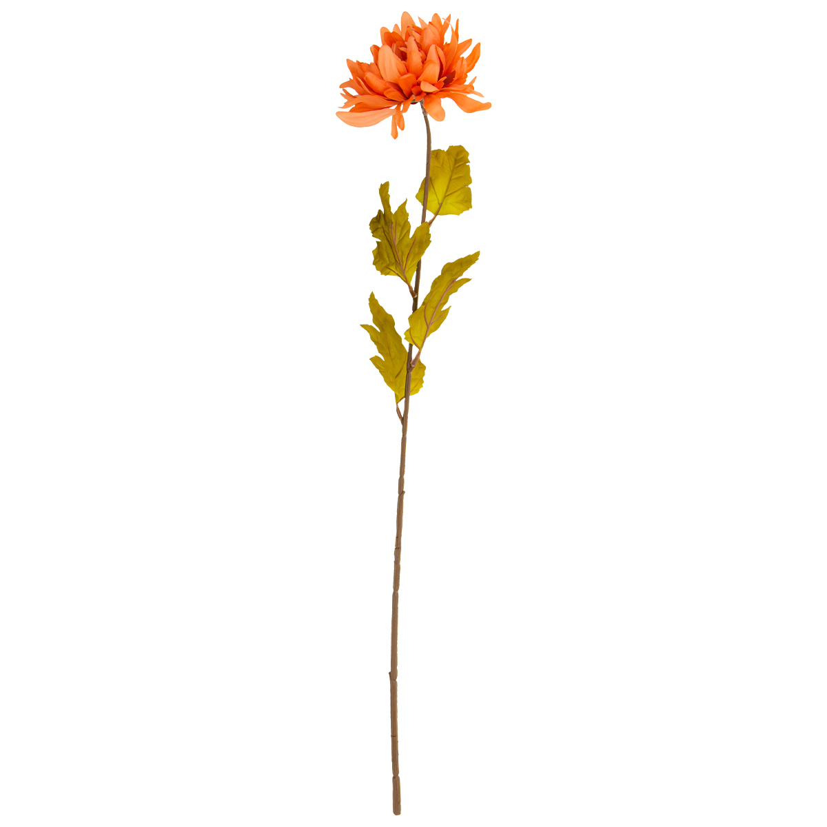 Flor Crisantemo Rosa | Flores | decoracion